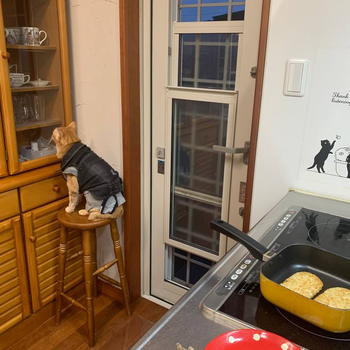 66d5d9a8 7b3f 4fe2 ad08 0a8e01c45bf0 1653042180359