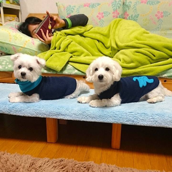 66d5ea79 3221 4091 a1f7 d75ae25a0729 1519107168412