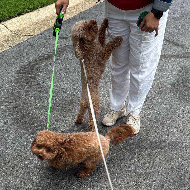 66d5ff57 893e 48c4 842d 03664449a484 1752237581582