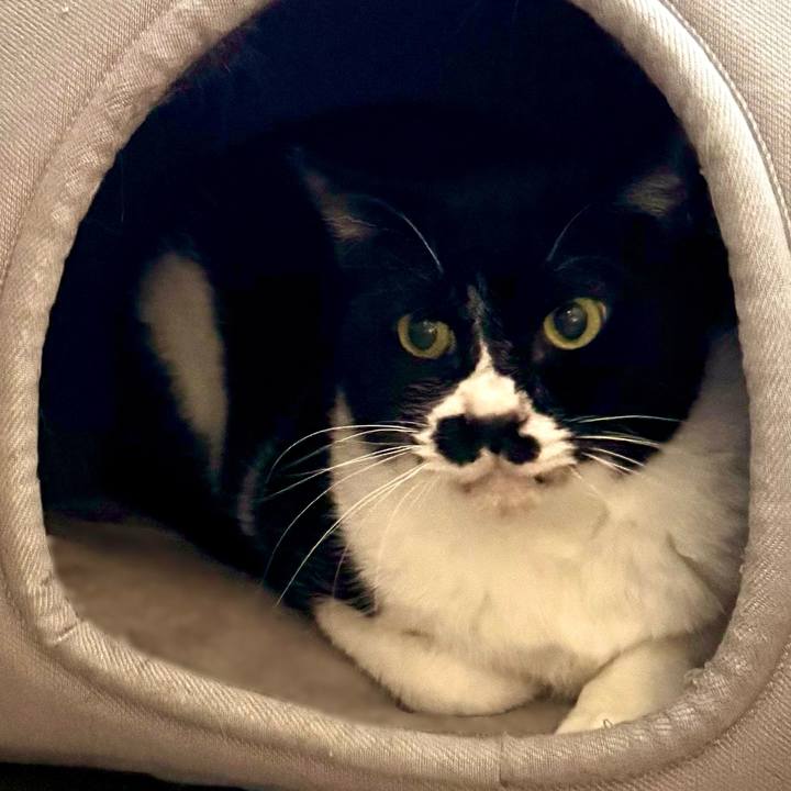 66d623d6 151e 417b 9e3f fa2e7f8d6d6d 1732865031428