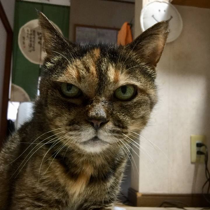 66d639eb 0d58 434b a1f8 13a0d39d5e8c 1646642485394