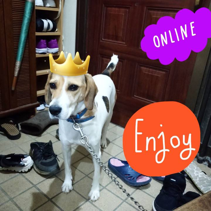 66d66a2c 1b93 4b6c b468 e29bb4f7482e 1603414908889