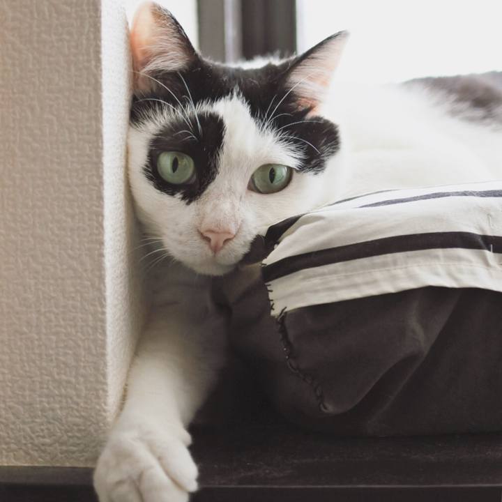 66d6b58f 0ec2 4db3 9017 cdcb65949002 1592191311416