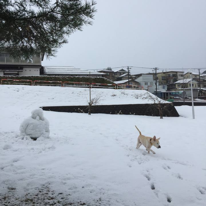 66d6f07d 5379 4309 874b e77eeaf31c6c 1513733872059