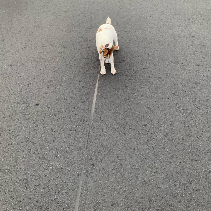 66d743ce e7c2 40fd aff2 403caef8baec 1593259449900