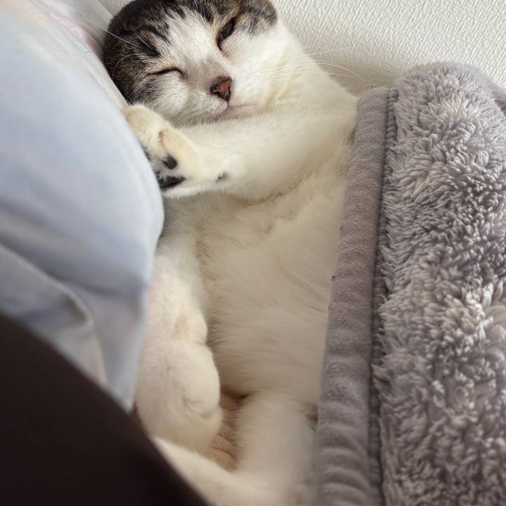 66d75200 4b12 4feb 8d7b ad203d8ed0df 1762040825868