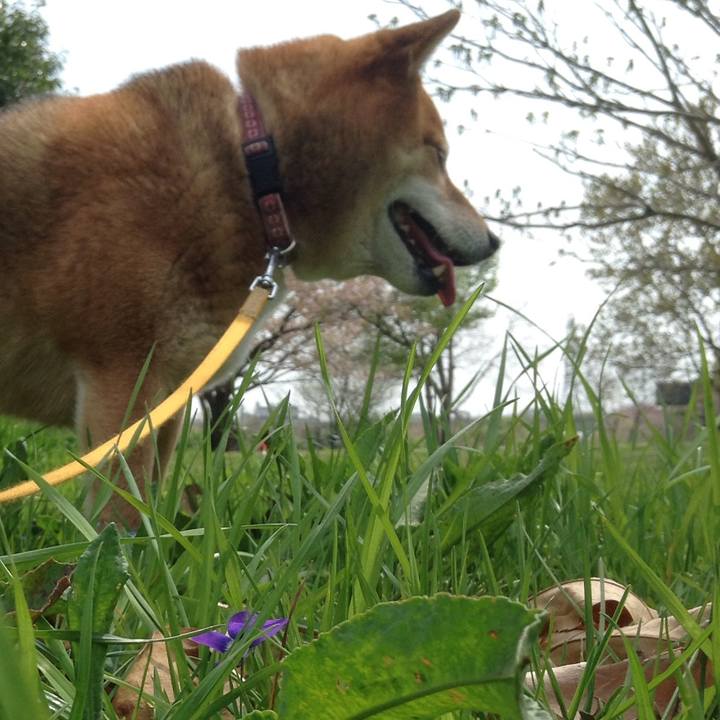 66d76cdb 3039 44fe 94f8 9d1ba39ce89a 1522727811161