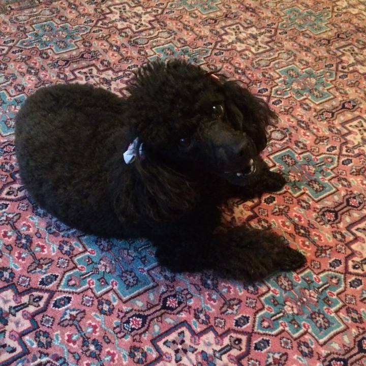 66d77dff f64a 4828 8291 5d338b6e1c51 1556242299034