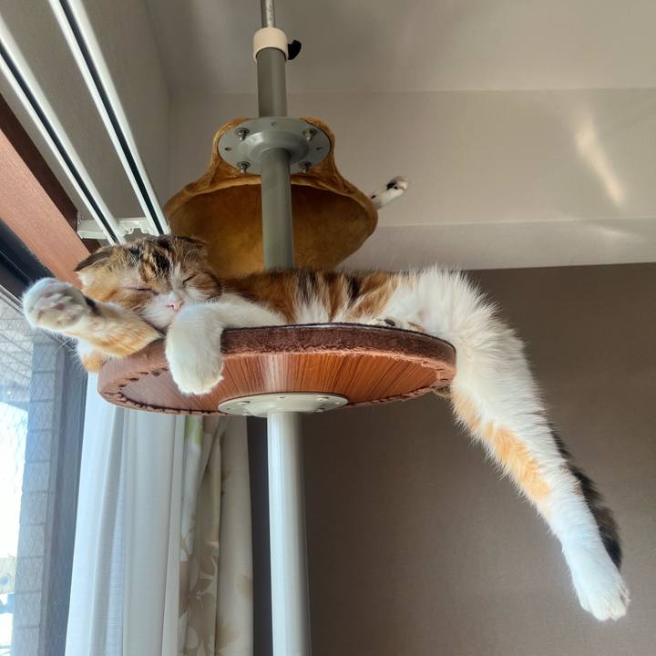 66d7dcdd 286d 447f 848e b54769e9c311 1698104811730