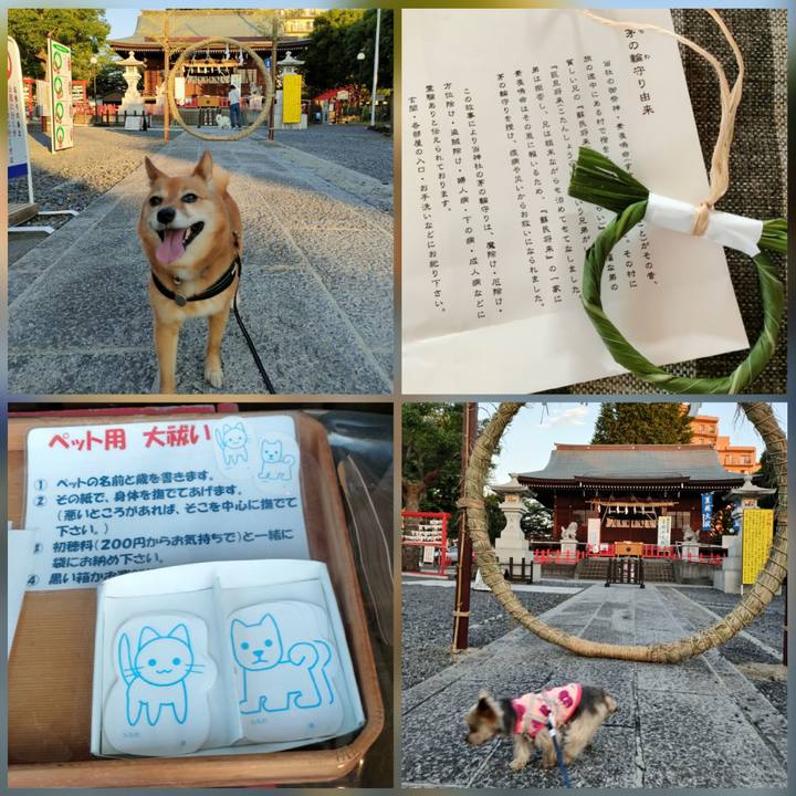 66d8009e 4ece 47be a291 ba18c722ab92 1656582803221