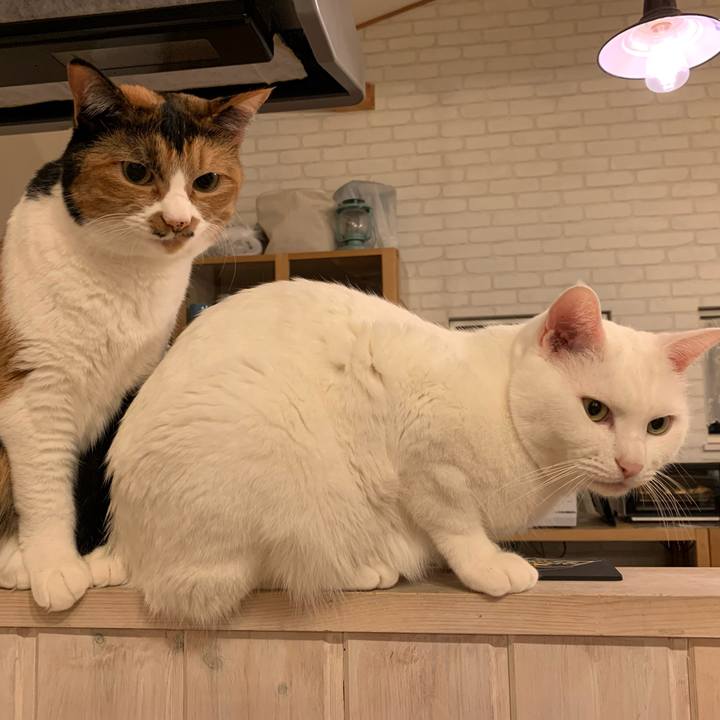 66d80f4e b111 45f2 afc2 f48531b3704b 1602252720888