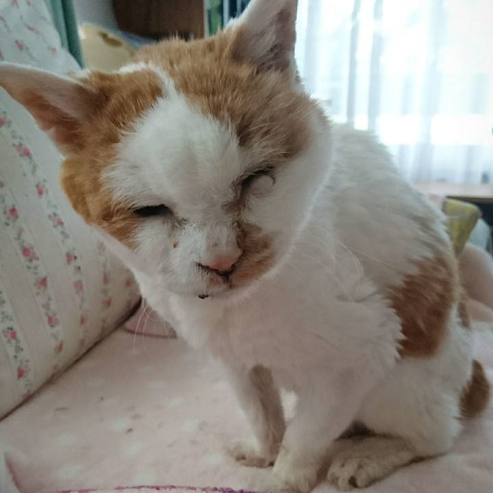 66d81d42 726f 4452 a959 eef84b99d29e 1624141925171