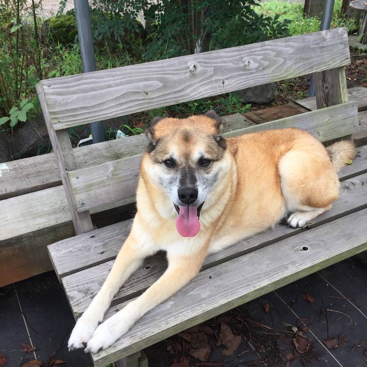 66d82f83 2df1 4c1f b29d 3ad68a2d6035 1567311531518