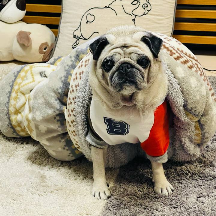 66d8359d 6614 446c 881b 811b5df3a5cf 1765603648152