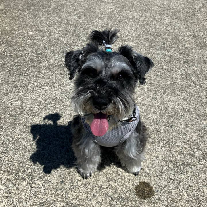 66d8821a 6f62 43fc b19f 0781e4d9a5af 1715871267277