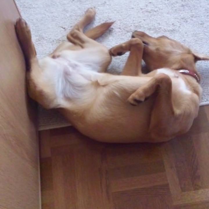 66d88f43 88bb 472c 9ce3 ee51fdf28438 1516076288515