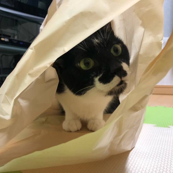 66d8ba39 4549 47e8 8952 1782d4560010 1570274092609