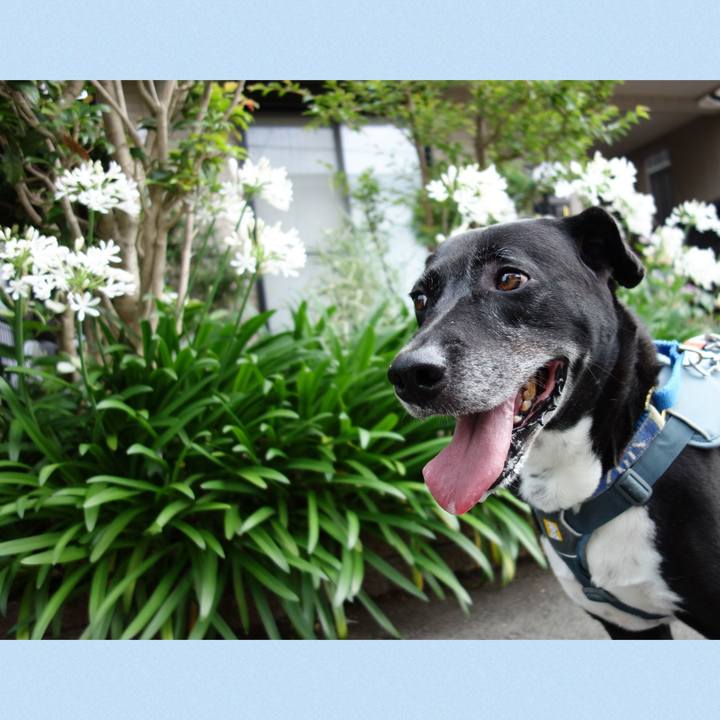 66d90ed8 9b0c 4652 b7eb f39cb5941a7c 1719446502384