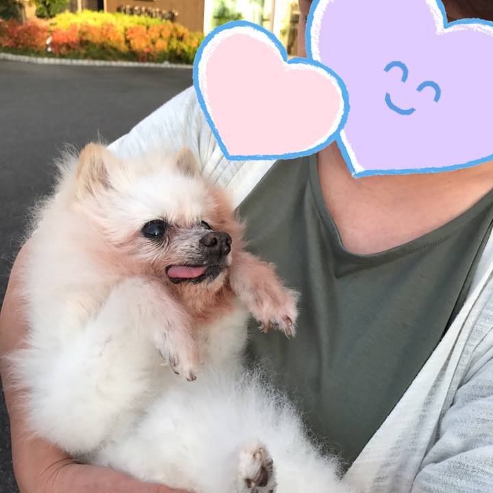 66d91f1e a222 482d a00d ea7d714bb62b 1534008305555