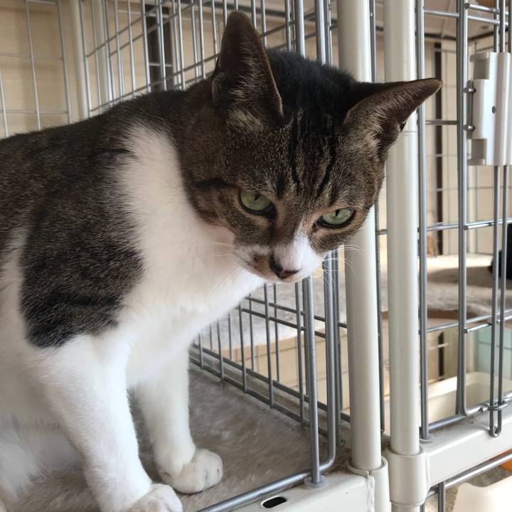 66d9520a 9d40 4c47 8fbe 15df0164f88e 1521853154100