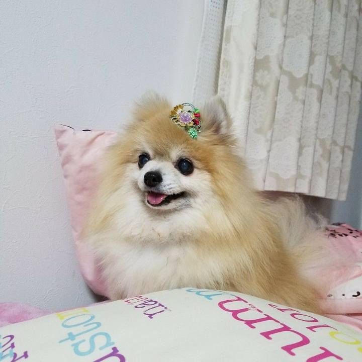 66d95d38 7b29 42c8 ba58 151c571454ed 1610941269002