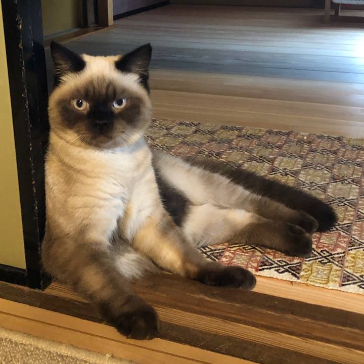 66d97703 2d3b 4506 bf49 49eb4db76e42 1596444287229