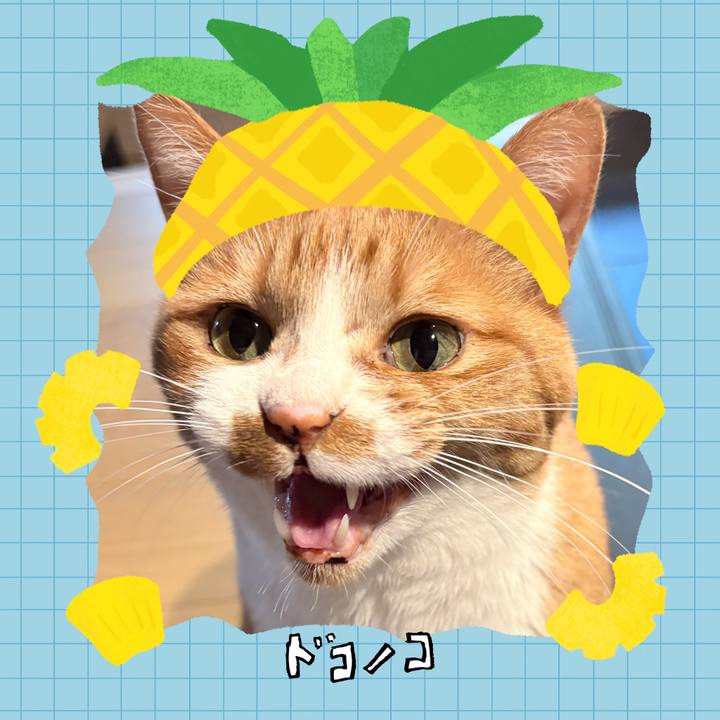 66d9875f ebe7 41a1 834c 01a32797aeae 1783381485262