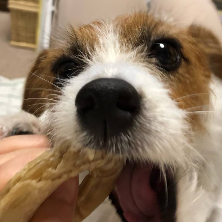 66d9d004 f89d 4a8a 8593 050ecb930a16 1538301221006