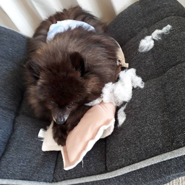 66da04b6 a8cc 43ec 8eed afae337c02a2 1521769999118