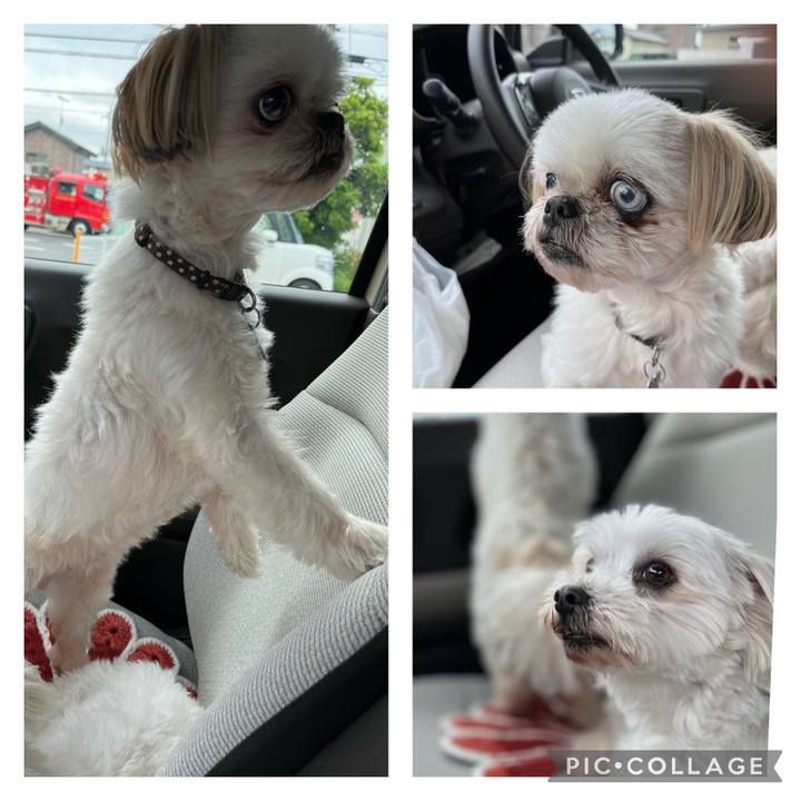 66da3577 3a48 4a9e 92bc 5c2858b95b42 1651888756742