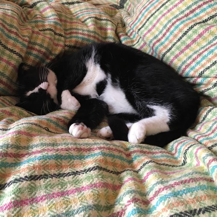 66dab921 28ed 4b06 9d1b f5aab721d612 1526120763175