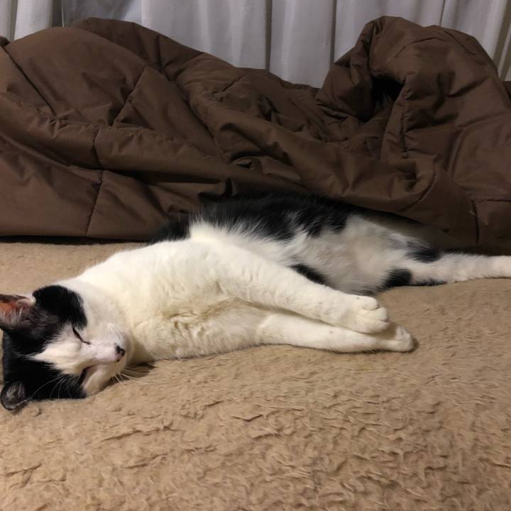 66daba96 6c3f 45fb 9491 be26f3b85ee6 1553877192897