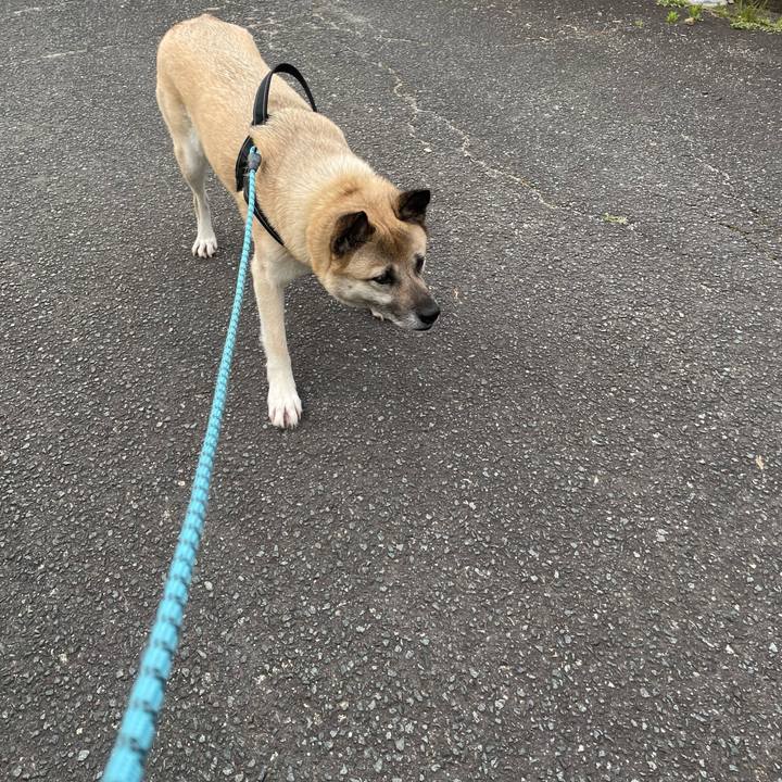 66dabb52 2b75 439b 937f cb386d7901bd 1718110799919