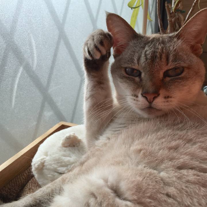 66dad6db db0b 42b0 a360 80f0a3910bea 1515039742161