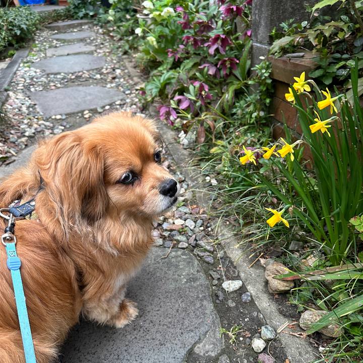 66db24d3 b3c4 4f1b b423 edd93d25b025 1679520323780