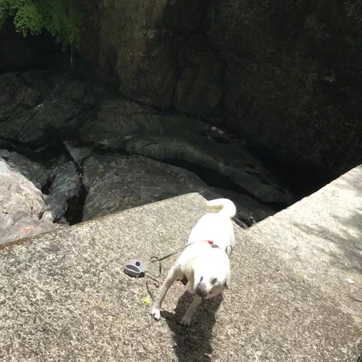 66dba8b0 4a00 4bc0 84e5 481657d13a01 1528084675158