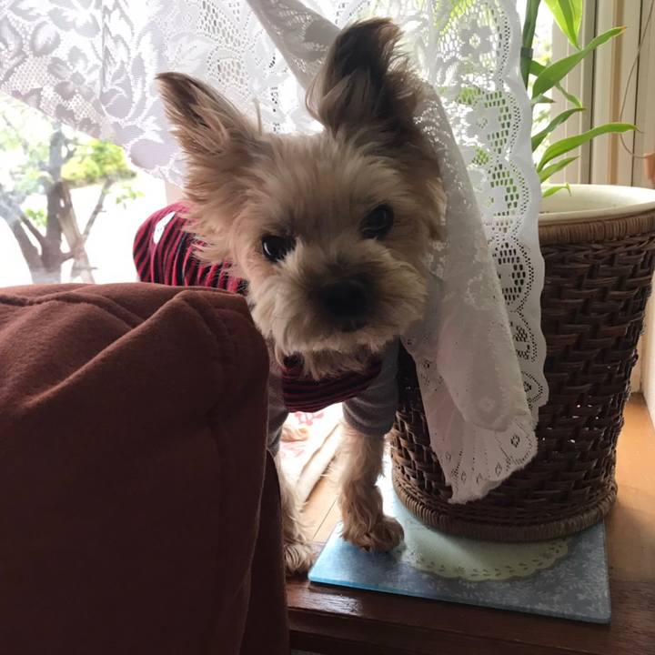 66dbaed8 739d 40ca 82d3 9047abaff864 1602147049164