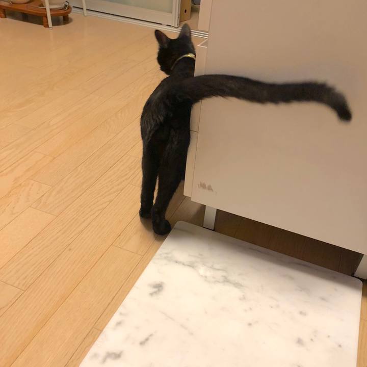 66dbda77 31e4 4be3 a85d 27caa3185e67 1531139191751