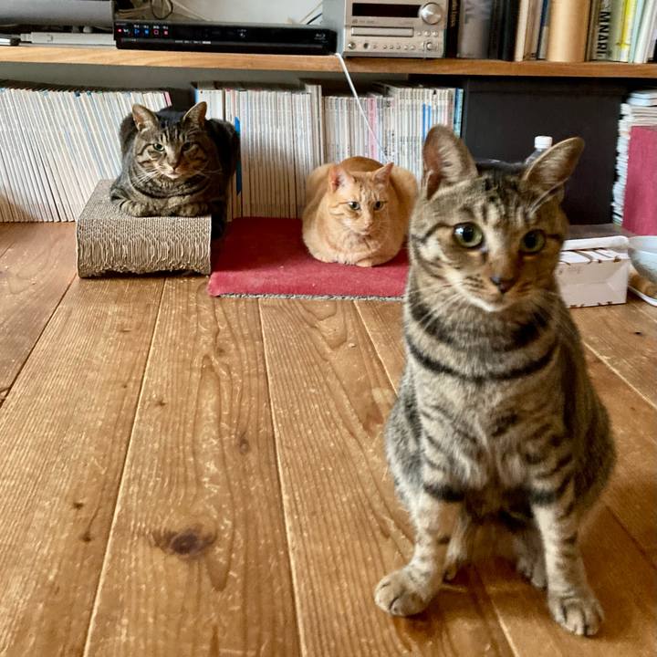 66dbe274 2542 43bb 9b13 2175f97e844f 1685747520814