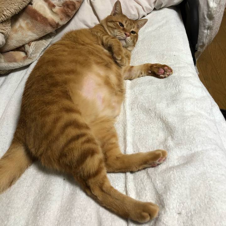 66dc47a0 b99e 4eaf 820d ebea90d12459 1615638721609