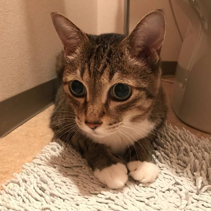 66dc4cac 7acd 46c5 a132 77401349ba73 1535928712345