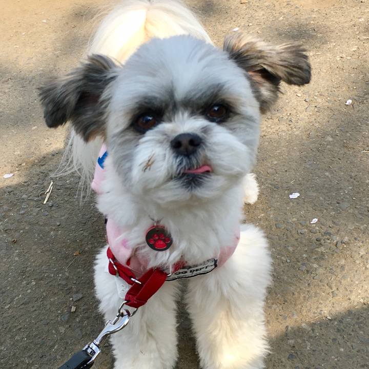 66dc59ea cf56 4d1c b8a2 84913fb5da9c 1617113161217