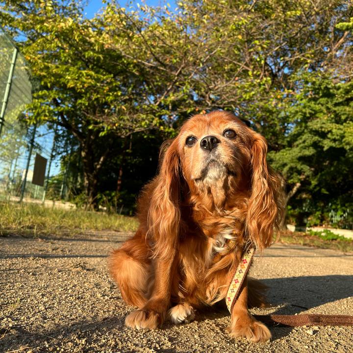 66dc994c 8ffb 4ff4 8ef5 3d91127e5d5c 1728512835931