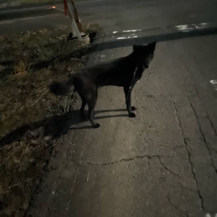 66dcac36 6133 44b9 b3c1 e7c473f2210a 1667752033984