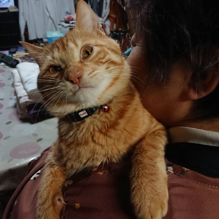 66dcae42 b100 4d42 b8f4 60861cf1847e 1642759707595