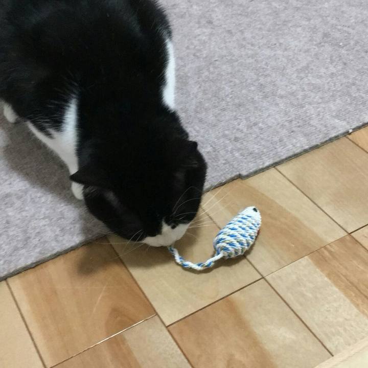 66dd008c da64 4714 a73d 8c17a5efd48f 1516460263670