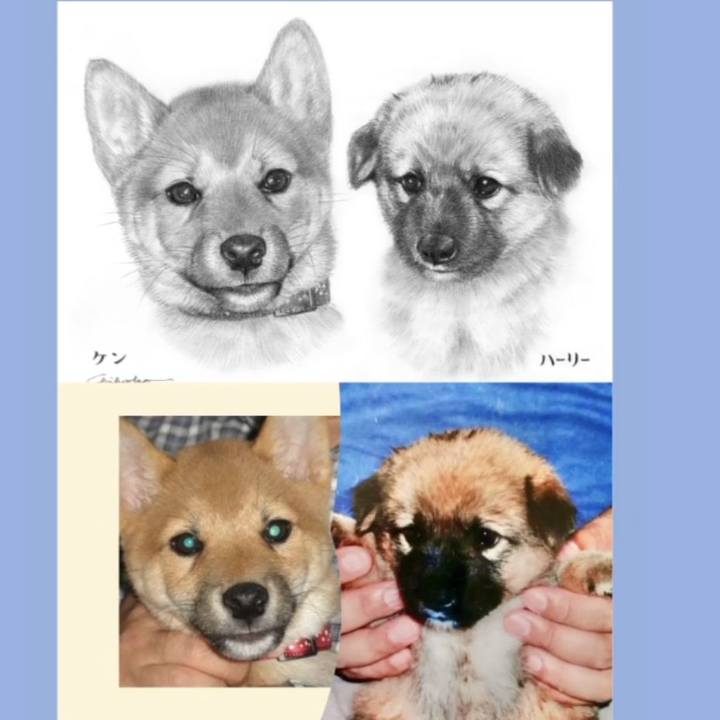 66dd0c07 4dd5 4b27 81fd 4cc8989fe679 1697454292501