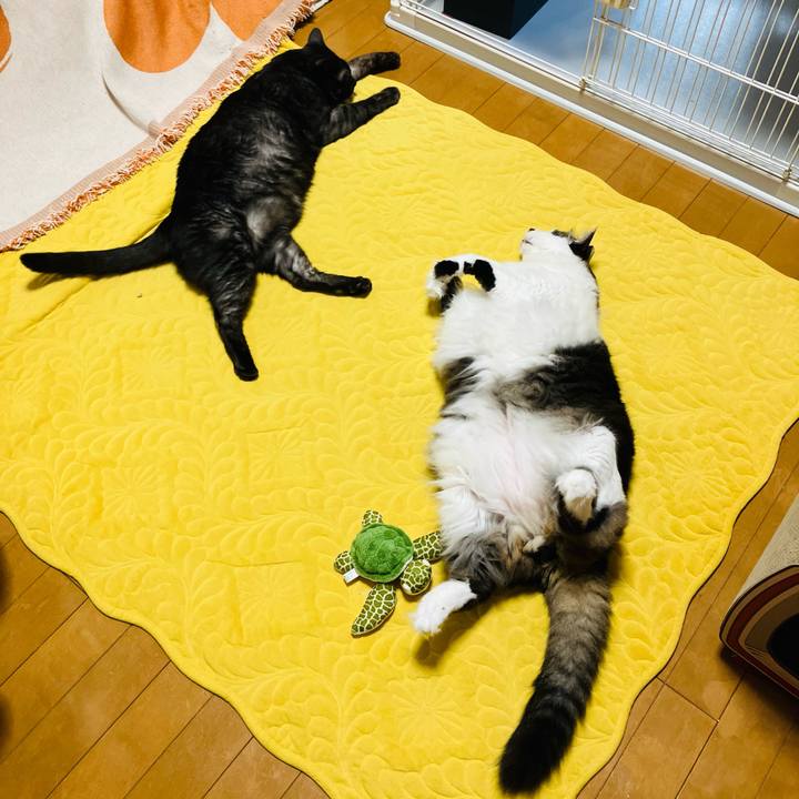 66dd3648 045f 48de a8cf 9dcd47542419 1744100761307