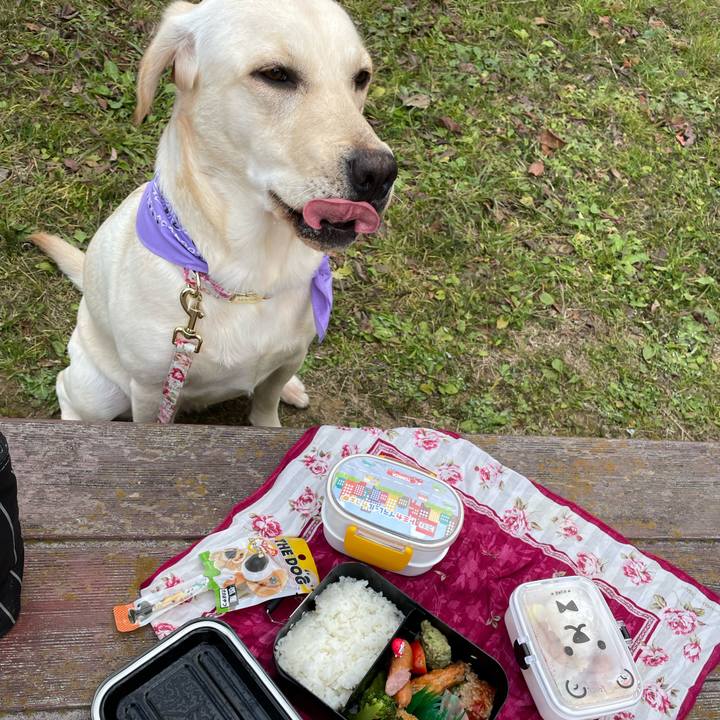 66dd3f8c d023 46fa b021 fc2db0c096dd 1641704651085