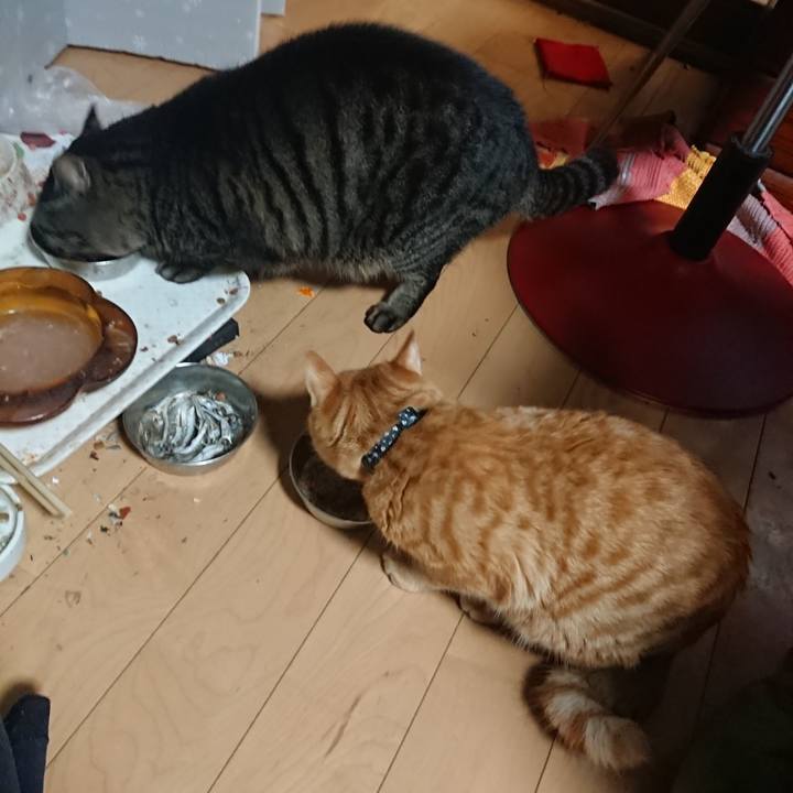 66dd3fa0 d46d 47d7 8395 38e736f318f7 1639222995775